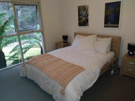 Russell Falls Holiday Cottages Parque Nacional Exterior foto