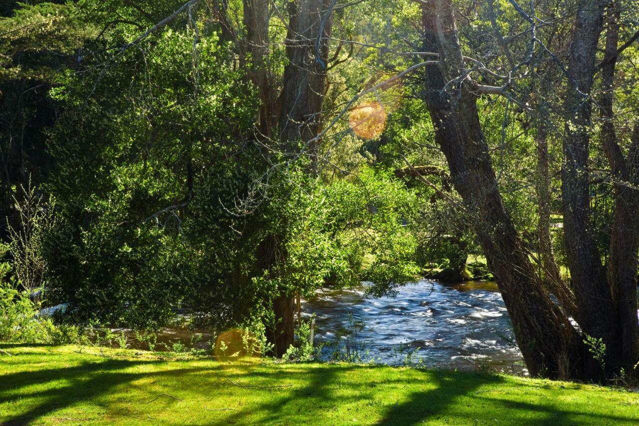Russell Falls Holiday Cottages Parque Nacional Exterior foto