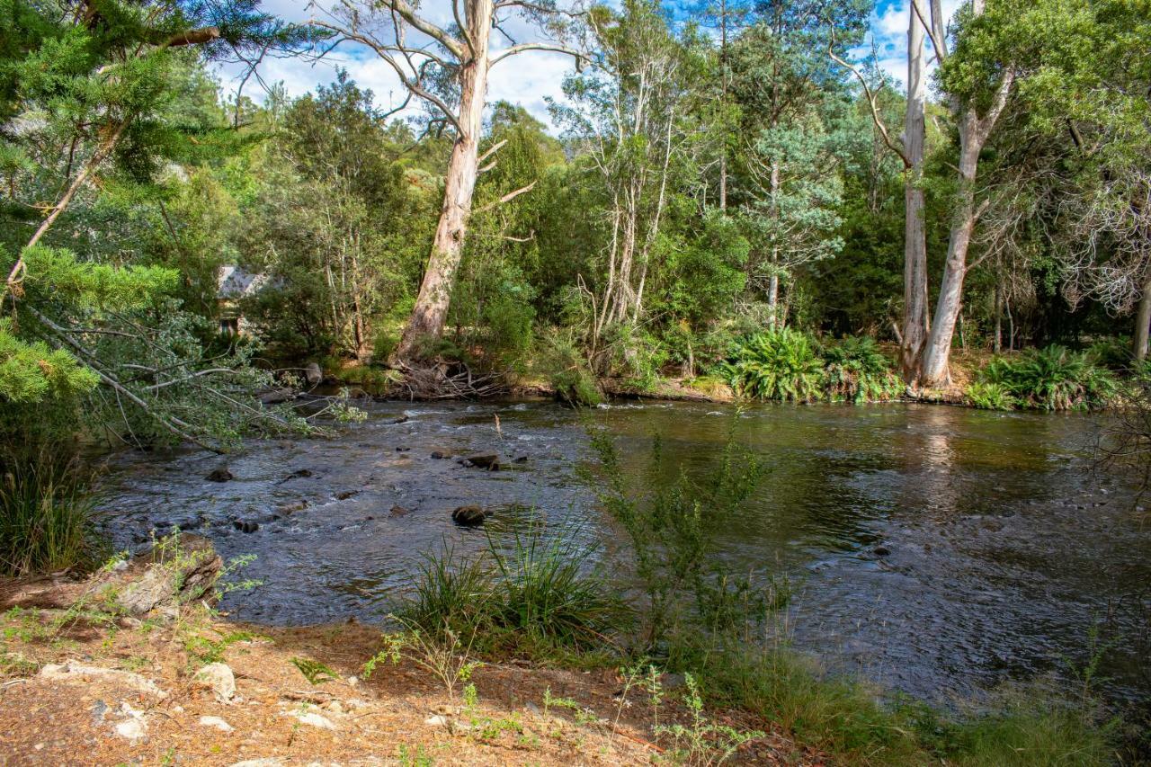 Russell Falls Holiday Cottages Parque Nacional Exterior foto