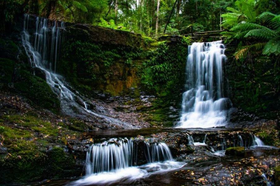 Russell Falls Holiday Cottages Parque Nacional Exterior foto