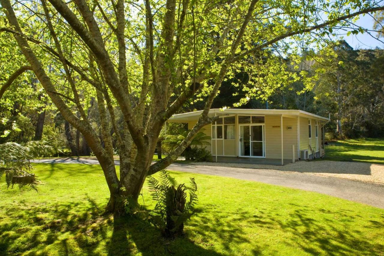 Russell Falls Holiday Cottages Parque Nacional Exterior foto